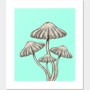 Mushroom Master Toadstools Posters and Art